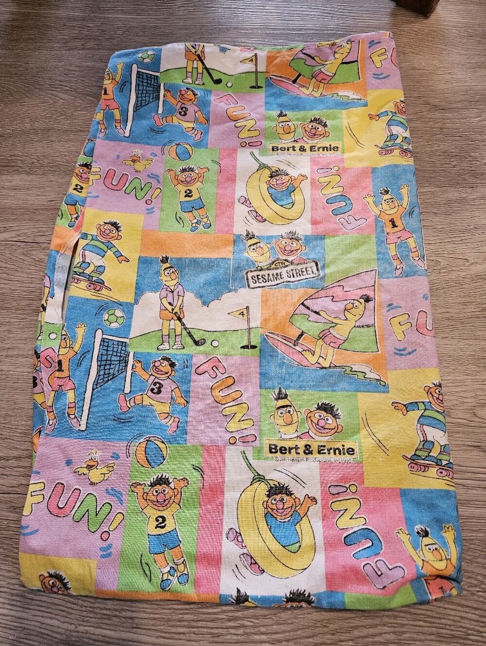 VTG Sesame Street Ernie Bert Pillow Case Standard